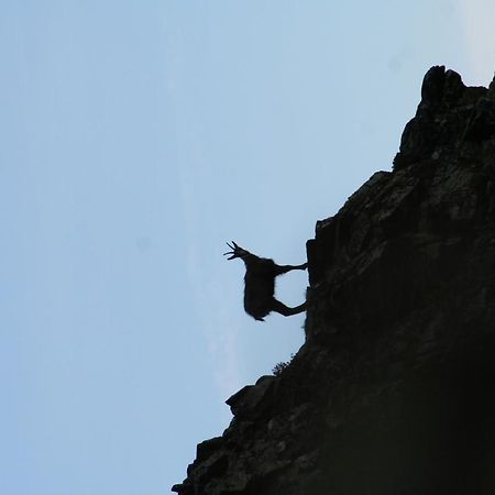 Apart Gletscherblick Kaunertal Buitenkant foto