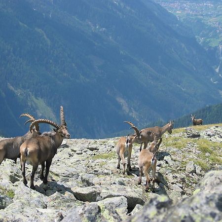 Apart Gletscherblick Hotel Kaunertal Buitenkant foto