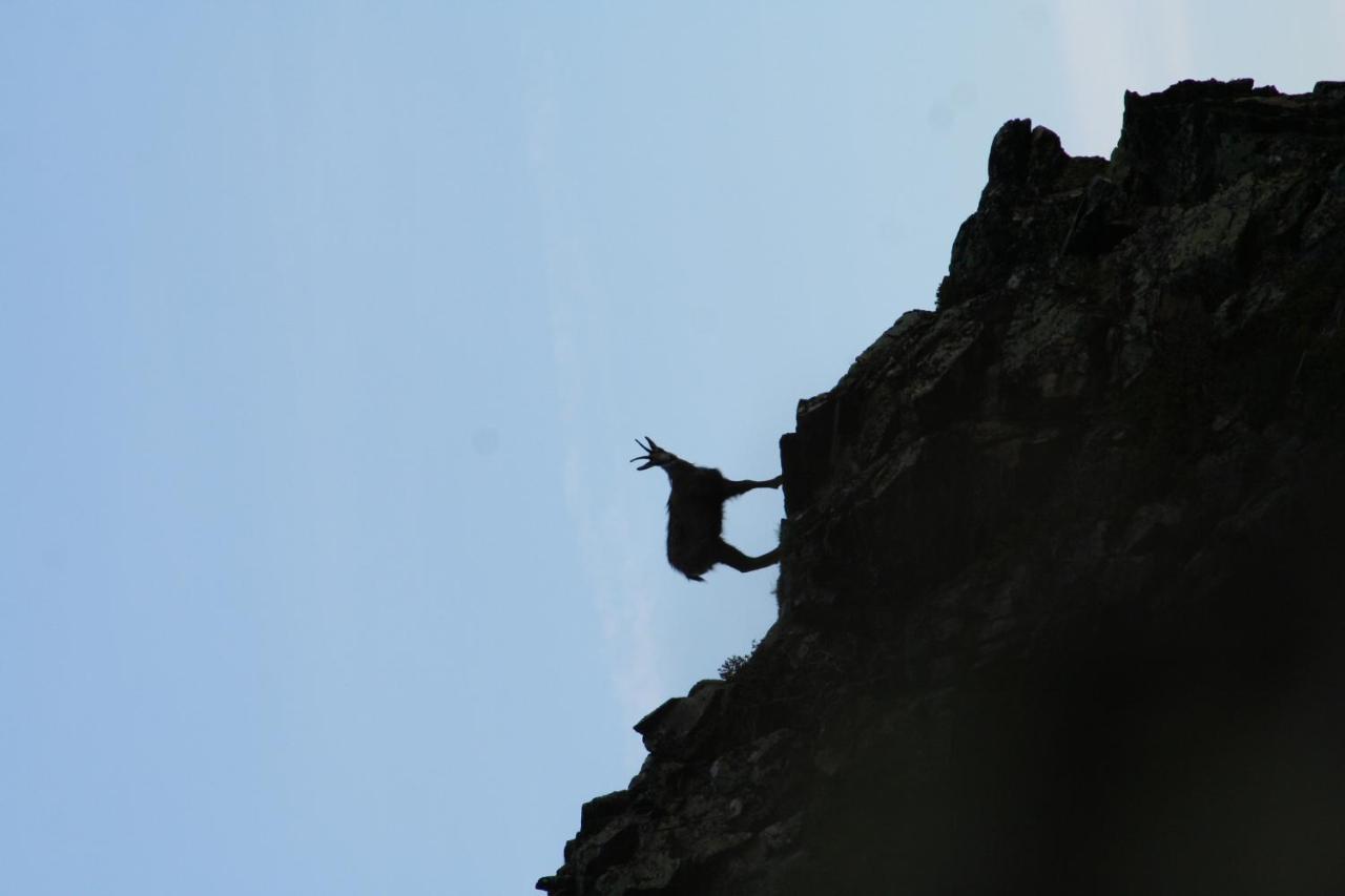 Apart Gletscherblick Kaunertal Buitenkant foto