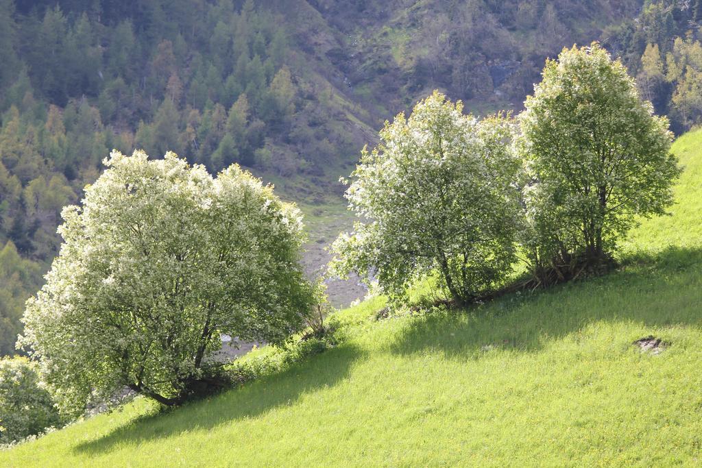 Apart Gletscherblick Hotel Kaunertal Buitenkant foto