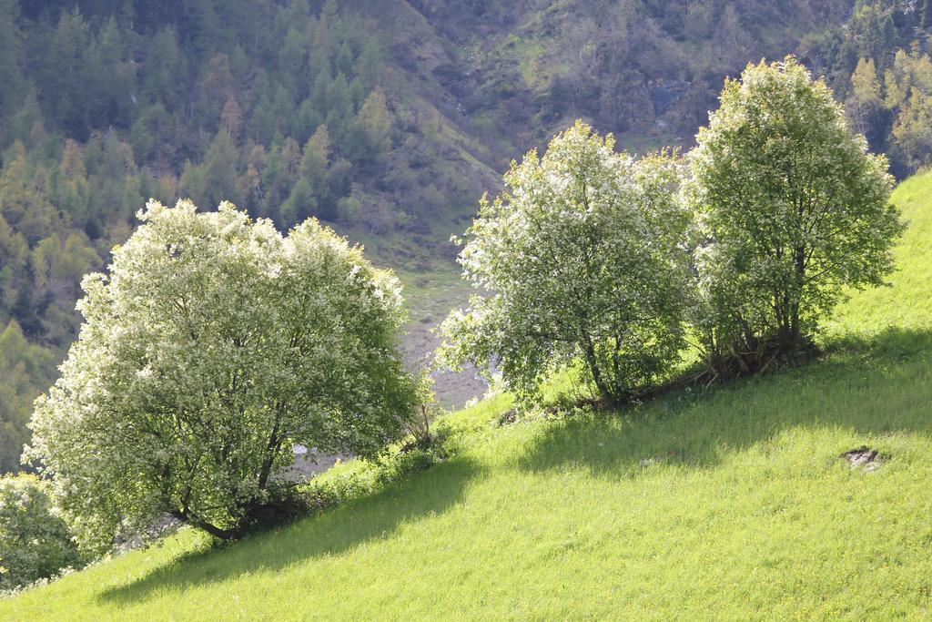 Apart Gletscherblick Kaunertal Buitenkant foto