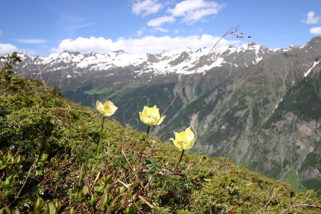 Apart Gletscherblick Hotel Kaunertal Buitenkant foto