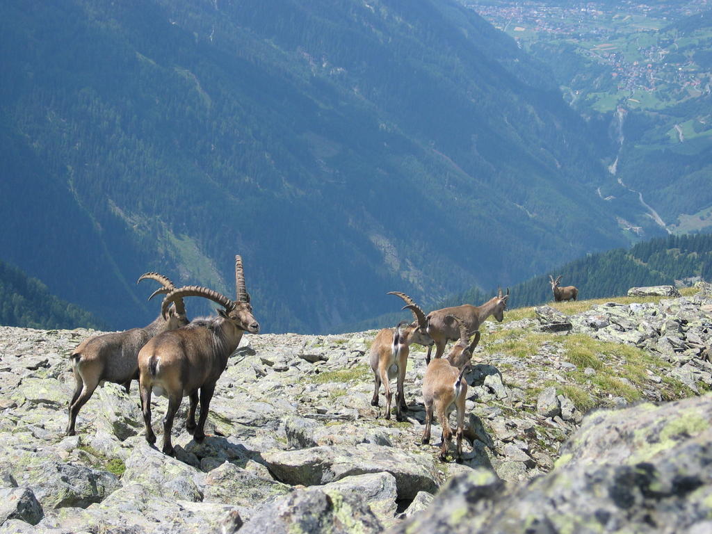 Apart Gletscherblick Hotel Kaunertal Buitenkant foto