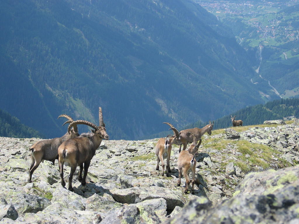 Apart Gletscherblick Kaunertal Buitenkant foto